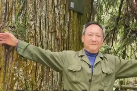 湖南千年杉树王直径1.59米，树围5米视频封面