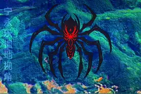 广东云浮市蜘蛛觅食岭视频封面