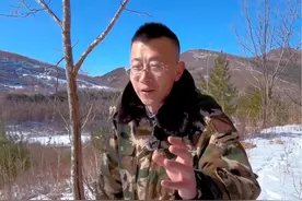 咱们这发现老虎了 保护野生动物人人有责#延吉 #长白山 #朝鲜 #野生动物 #老虎视频封面