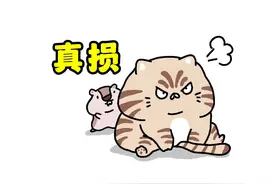 《最 佳 损 友》#漫画 #表情包 #搞笑 #损友的日常 #治愈系漫画视频封面