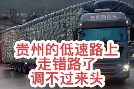 来的时候好好的，走错路了调不过来头，只有这个三叉路口可以掉头，但是需要倒车好几公里，在这种两车道宽的路上倒车，尤其车流量还非常大的时候，大伙觉得怎么操作最合适@玖月的小样 @财哥 #记录卡车生活