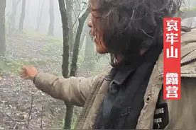 哀牢山气候变化比翻脸还快，森林有嘶吼声，是不是真哀牢山看树视频封面