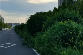 鬼子进村 #创作灵感#上热门#鬼子进村 鬼子进村我们没有断子绝孙，而和平年代却要断子绝孙，这是哪里出了问题。@DOU+小助手视频封面