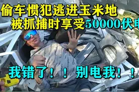 偷车惯犯遇上美国警察，50000伏电击下瞬间求饶…