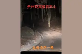 这里就是被称为贵州现实版哀牢山 昨晚上差点没走出来 鬼哭狼嚎 胆战心惊#无人区探险 #探险 #我的旅行日记 #可可西里视频封面