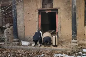 父母只有我们姐妹俩，都是远嫁他乡，如今我们回来看看，没有哥哥弟弟的娘家，心酸不已，终于理解奶奶当年为什么重男轻女了…… #娘家老宅#情感#远嫁的姑娘 #乡愁记忆 #古村小婷视频封面