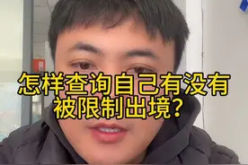 怎样查询自己有没有被限制出境？#限制出境 #出国 #出国留学 #出国打工 #签证