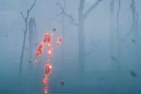 铁血战士降临地球，狩猎生物#一个片段看完一整部电影视频封面