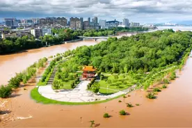 因追寻魏若来家乡吉安的游客们失望了，白鹭洲公园因涨水五一闭园视频封面