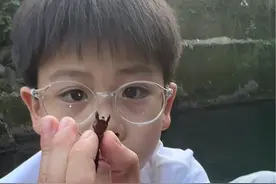 巨齿蛉#昆虫#水蜈蚣#爬沙虫#野采#寓言同学视频封面