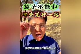 茄子不能和哪些蔬菜种在一起，大家知道吗？#蔬菜种植 #茄子种植 #分享农业知识帮农民增产增收 #抖音助农 #农业种植视频封面