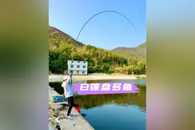 白莲盘多鱼 白莲镇黎明湾钓场，号称鱼很多，钓友送外号-王多鱼……@天元邓刚 @天元王稳 @万有引力 #国庆假期的快乐是钓鱼给的 #京城鲢鳙战队视频封面