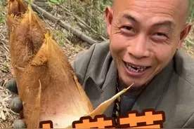 兄弟们挖笋就是这么简单#挖笋 #大黄芽春笋 @桐庐县山咔咔农业专业合作社视频封面