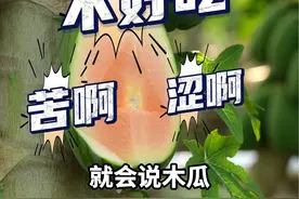 木瓜不好吃？！你可能对木瓜有误解#木瓜 #现摘现发新鲜到家 #抖音助农视频封面