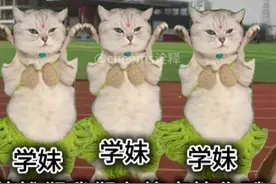 当校长承诺破纪录全校放假时… #歌曲苟活之重生
