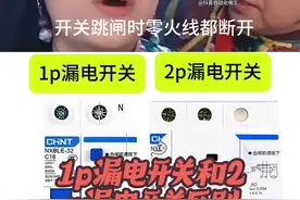 1p漏电开关和2p漏电开关的区别#电工知识 #零基础学电工 #电工知识分享