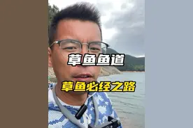 野钓草鱼必经之路二道坎，水库打窝钓草鱼这样找鱼道 #钓鱼技巧 #野钓草鱼 #矶竿滑漂 #老坛甜薯