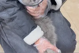 捡猫后续来了  老话说得好大难不死 必有后福视频封面