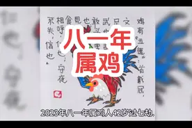 八一年属鸡的朋友，你们过得还好吗？ #81年鸡 #生肖文化视频封面