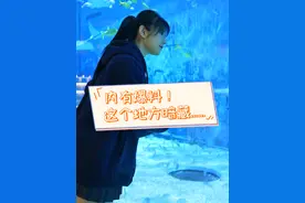 内有爆料？这个地方暗藏5条新版本线索，跟着八妹去看看！#天龙八部 #天龙八部怀旧服 #亿万人的武侠梦