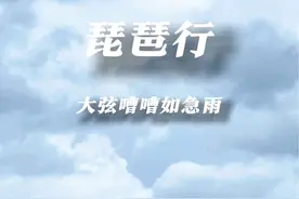 听琵琶行的一般有两种人，一种是真的出于对于古文的热爱，还有一种是背不会课文的高中生#琵琶 #乐器演奏 #音乐就要这么玩 #琵琶行