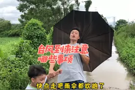 台风到来的时候小朋友们应该要注意哪些事项 #安全教育 #萌娃日常