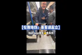 伦敦地铁广播：所有人起立有臭虫！Bed bugs crisis😱 内附NHS解决建议 小伙伴们要注意清洁哦～ #英国生活 #伦敦 #bedbugs #巴黎臭虫 #海外生活