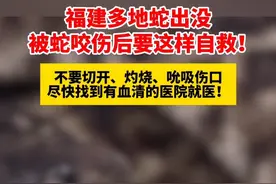 福建多地蛇出没被蛇咬伤后要这样自救！ 不要切开、灼烧、吮吸伤口 尽快找到有血清的医院就医