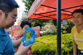 老于回高密老家路边买葡萄，阳光玫瑰7块钱巨峰8块，这价格忒便宜