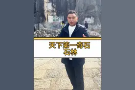 昆明石林 天下第一奇观 #石林风景区 #昆明 #天下第一奇观 #旅游#旅游攻略 @北京旅游大岳岳视频封面