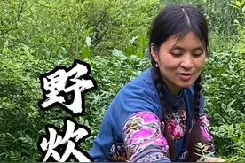 春日野菜，山野限定！沉浸式摘野菜，把春天吃进肚子里。#尝一口春天的味道 #乡野春日地图  #野菜摘不完根本摘不完 #春天的味道都在山上 #新农人计划