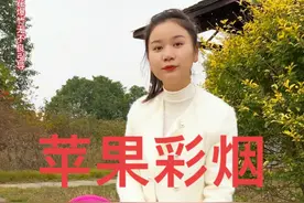 #浏阳烟花放大招 苹果彩烟#我在抖音给大家放烟花 #八哥带你玩烟花 @贤祥烟花-吴细 @抖音短视频