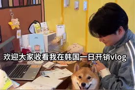 #韩国 #留学 #河南  我在韩国的一日开销vlog视频封面