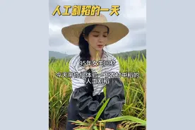 每一份耕耘都记录着辛勤的可贵，每一口稻米都延续着生活的滋味。寻着记忆的味蕾，感受家的温暖和纯粹～#记录真实生活 #我的乡村生活 #丰收的季节视频封面