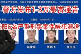 警方发布1-3万悬赏通告 陕西咸阳5名严重刑事案件嫌犯潜逃视频封面