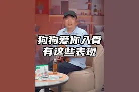 爱你入骨的狗狗会有这些表现#科学养宠攻略 #养狗经验分享 #新手养狗 #养宠进阶指南 #狗狗视频封面