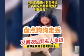盘点那走丢后又再次回到主人身边的狗狗 小狗走丢4年后与主人偶遇视频封面