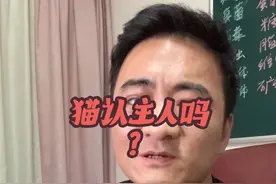 猫认主人吗？ 万能的粉丝们，向你们请教经验。#猫咪 #猫咪的迷惑行为