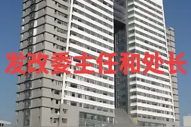 市发改委主任和省发改委处长#体制内 #干部 #职业规划视频封面