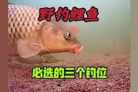 想要鲤鱼钓的多，这三种钓位一定要选，钓鱼硬知识 #钓鱼视频封面