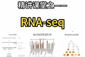 想深入了解 RNA 高通量测序技术吗？本期节目为您详细介绍