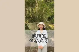 普陀山的千年蛇王，你有见过吗？#湖北星旅播视频封面