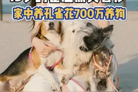 难怪霍思燕有个外号叫“圈内小富婆”了#霍思燕 #明星故事视频封面