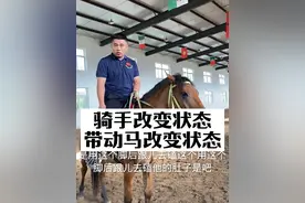骑手的状态影响马的状态#新手学骑马 #零基础学骑马#骑马教程#骑马教学#我是毕教练视频封面