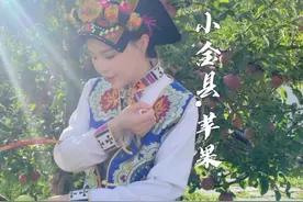 中国农民丰收节，小金县第七届苹果采摘节，金冠苹果（又名青苹果