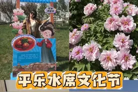 这个四月，来#洛阳 平乐一起吃水席赏牡丹吧！真的太有意思了！#来洛阳赏牡丹吃平乐水席#牡丹花已开总要来趟洛阳吧视频封面