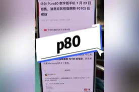 标准版可能连花粉都不会买#p80
