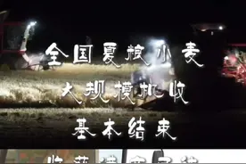 全国夏粮小麦大规模机收基本结束 收获进度已达96% #三农 #收麦子 #小麦