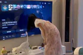 适合女生玩的温馨治愈系游戏推荐#ps5 #ps5游戏推荐 #主机玩家 #steam游戏 #主机游戏