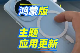 鸿蒙版主题应用更新1.0.20.300版本主题碰传分享#鸿蒙 #华为 #手机主题 #玩机技巧 #harmonyos